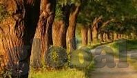 成人区人妻精品一区二区不卡-成人区人妻精品一区二区不卡，网络世界的灰色地带与道德边界