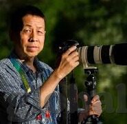国产91麻豆免费观看-国产娱乐新视角，探究高质量网络内容创作与观赏的良性循环