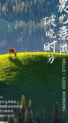 麻豆传媒电脑版-麻豆传媒，电脑版的多样性与独特魅力