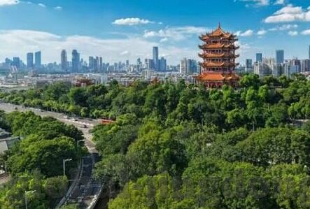 麻豆久久av-麻豆，网络时代下内容创作的边界探讨