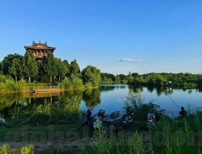 麻豆视频一区二区-色情视频下载平台的警钟， 麻豆视频一区二区风险探讨